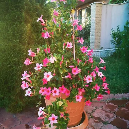 Complex Karia I Apartment